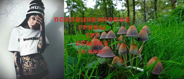 МДПВ Нягань