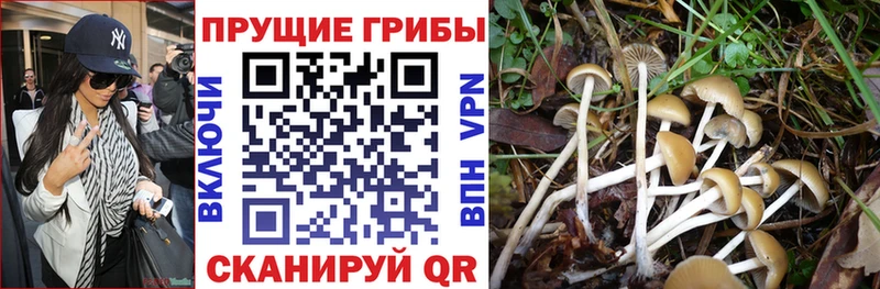 Купить закладки Вологда Галлюциногенные грибы мухоморы
